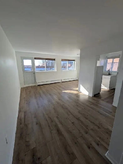 Grand 3 1/2 Chauffé, 3 minutes du métro Henri-Bourassa Image# 1