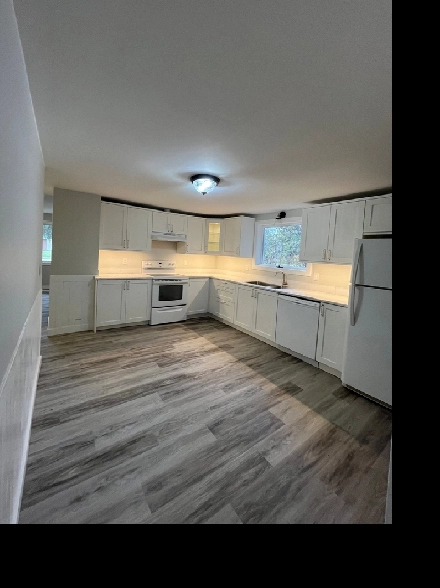 Newly Renovated 2 Bedroom House! Move In Ready! Image# 1