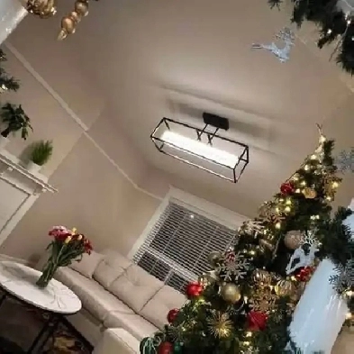 AvailDEC 1st-LUXURY Furnished 1-BEDROOM APT,HighPark-Keele/Bloor Image# 1