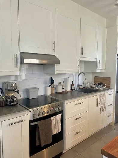 Rosemont-La-Petite-Patrie, 3 et ½ rénové/renovated Image# 1