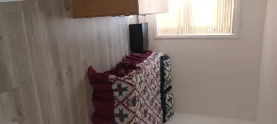 Chambre a louer Image# 5