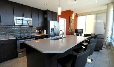 2 BR Beautifully Furnished Executive Rental Downtown - UG parkin Image# 1