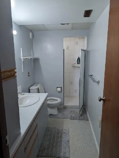 Shared basement suite for rent Image# 2