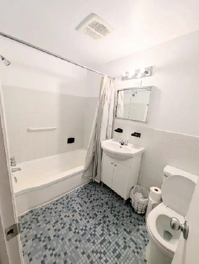 Appartement 3 1/2 Hochelaga-Maisonneuve Image# 1