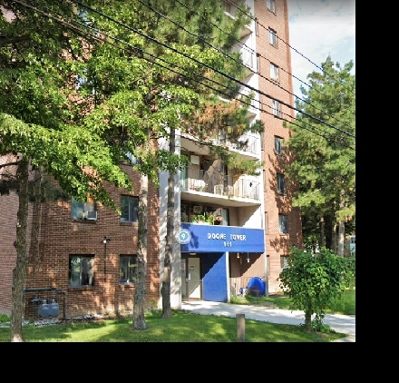 1 BEDROOM APARTMENTS ON MACFELIX - MUST SEE! Image# 1