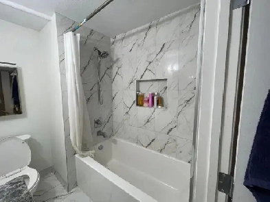 3 Bedroom Big Spacious Clean Basement for Rent in Rundle NE Image# 1