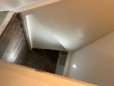 1 bedroom   hall basement for rent in Milton Image# 1