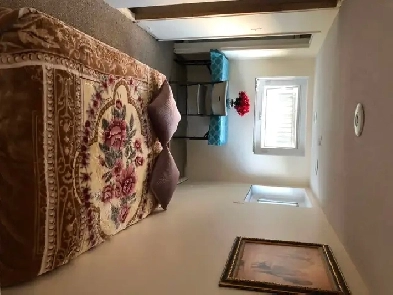 VERY BRIGHT ROOM STEPS TO GROCERY/BUS NORTH YORK BATHURST/STEELE Image# 1