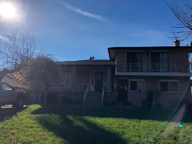 3 Bedroom Apartment for Rent Image# 3