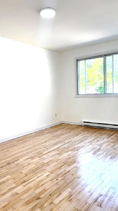 Magnifique 4 ½ à louer – Saint-Léonard Image# 1