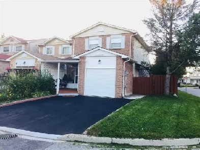 1 SINGLE BEDROOM AVAILABLE FOR RENT HUMBER COLLEGE AND FINCH Image# 1