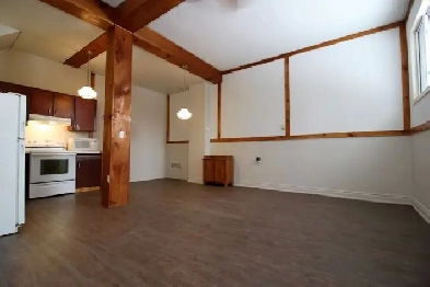 Spacious and bright 1 bedroom apartment for rent Image# 1