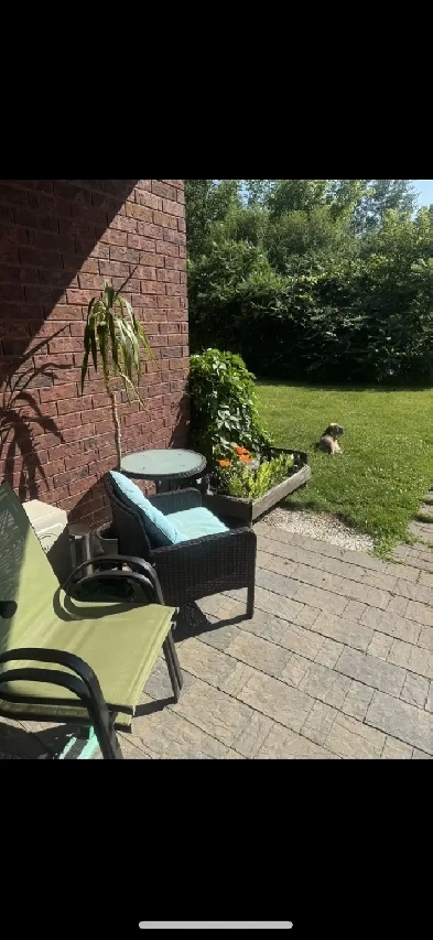 2 bedroom a louer for rent Image# 1