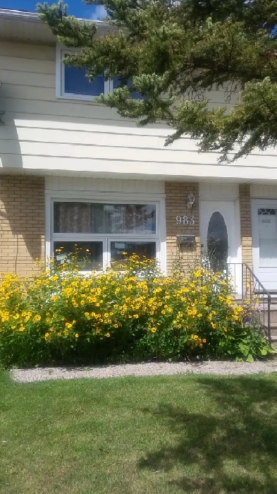 ALL-INCLUSIVE ROOM Near CarletonU /Agonquin Col. Image# 1