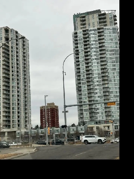 Restaurant business for sell Image# 6