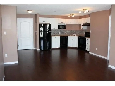 Beautiful apartment with 2 Bedrooms in Hamptons for Rent Image# 1