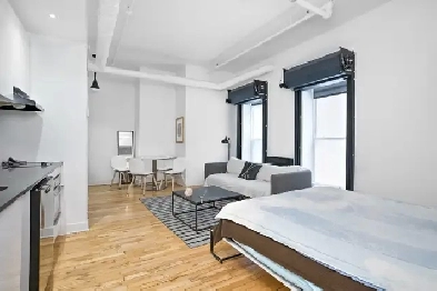 Plateau-Mont-Royal Loft – $1,595/month Image# 1