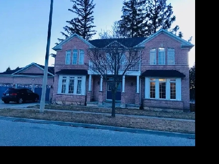 Basement one bedroom for rent near Lawrence & Morningside Image# 1