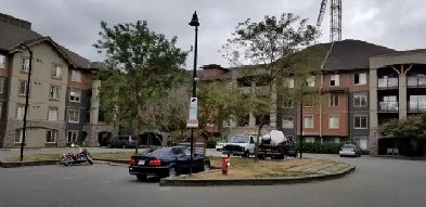 1 Bedroom Unit with In-Suite Laundry and Parking in Sapperton (S Image# 8