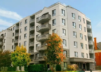 Available Now! HUGE 2 & 3 Bedroom Apartments@536 Ridout Image# 1