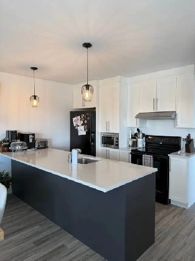 Appartement de 2 chambres et 1 salle de bain, St-Nicolas Image# 8