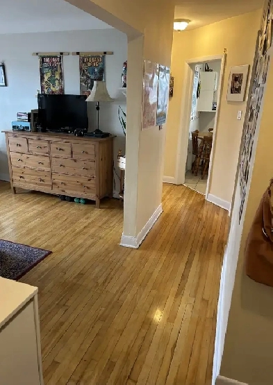 Large One Bedroom 308 McArthur Ave Ottawa Image# 1