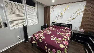 one bedroom rent Image# 1