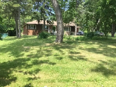 BASEMENT     APARTMENT      FOR       RENT Image# 1