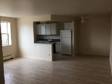 1 bedroom spacious, open concept apt close to the hospitals Image# 4