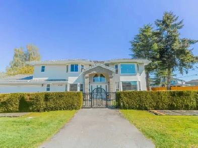 Large Suite at Lackner area, Richmond Image# 11