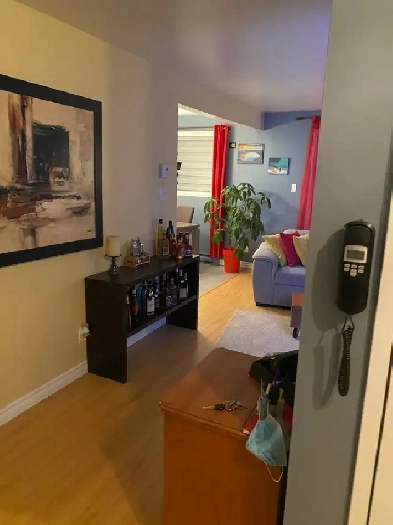 Aubaine pour Décembre 4 1/2 À LOUER Image# 1