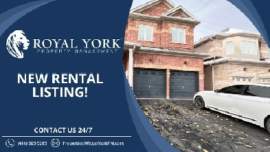 1 BED 1 BATH - BASEMENT FOR RENT - OCEANPEARL CRESENT, WHITBY, O Image# 1