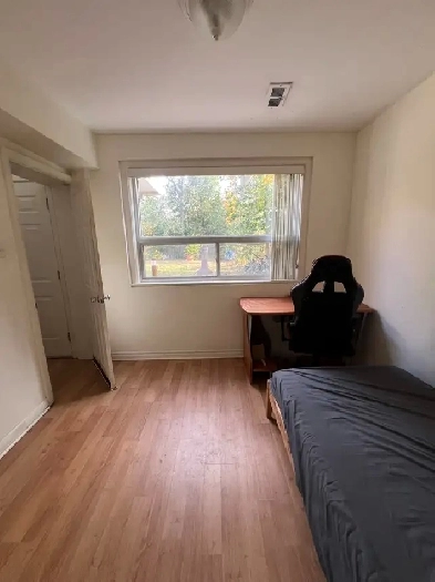 Bright Room For Rent Near Finch Station Image# 1