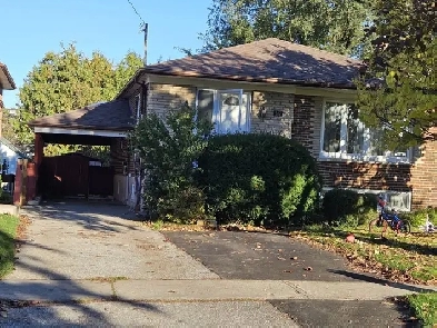 Room for Rent, All Utilities Included, Near Kennedy Subway, Scar Image# 1