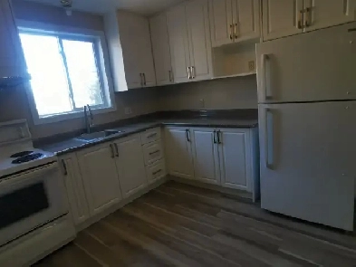 Newly Renovated 2 1 beds Townhouse for Rent Image# 6