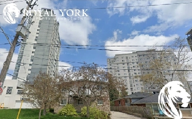 1 BED 1 BATH - UNIT - APARTMENT BUILDING FOR RENT - 348 SPRUCE S Image# 1