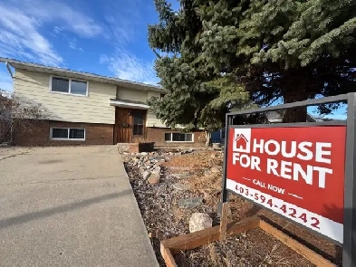 RENOVATED 3-Bedroom Bi-Level with MASSIVE Heated Garage Image# 8