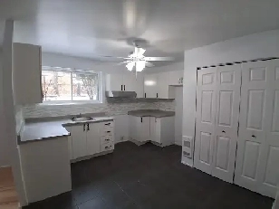 4 1/2 Grand ,ensoleillé 100 % rénové un mois loyer gratuit Image# 1