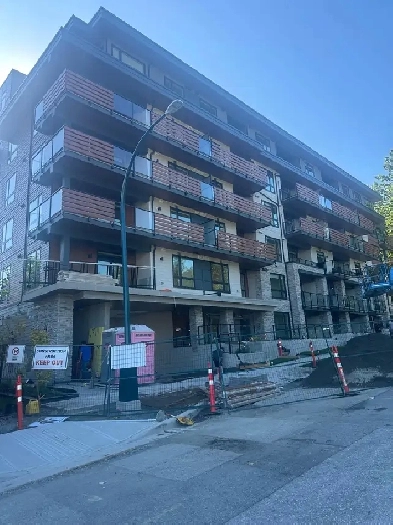 1 junior bedroom for rent Image# 10