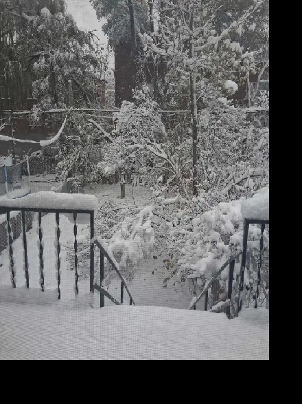 Room to rent/ Chambre à louer