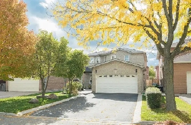 Basement Apartment for Rent Image# 1