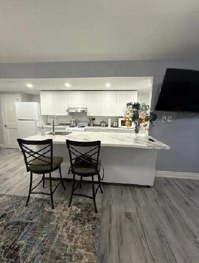 1 Bedroom for Rent, Fully Furnished Basement  (Share Image# 1