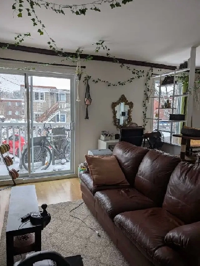 Appartement 3½ Image# 3