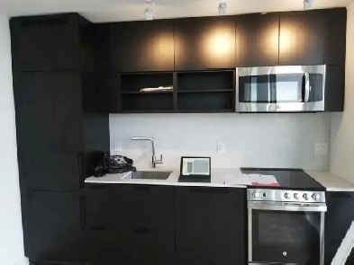 1 1 condo at 135 East Liberty, Move in now Image# 1