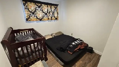 3 Bedroom Big Spacious Clean Basement for Rent in Rundle NE Image# 1