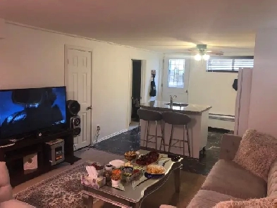 Spacious 1 1 Bedroom Walkout Basement Apartment – Thornhill Image# 1