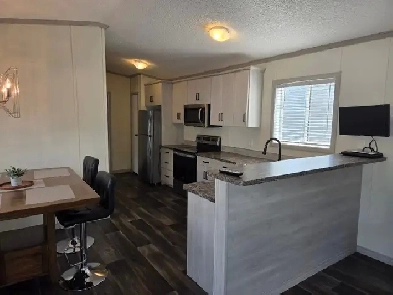 GIVE YOURSELF AN EARLY XMAS PRESENT! Image# 1