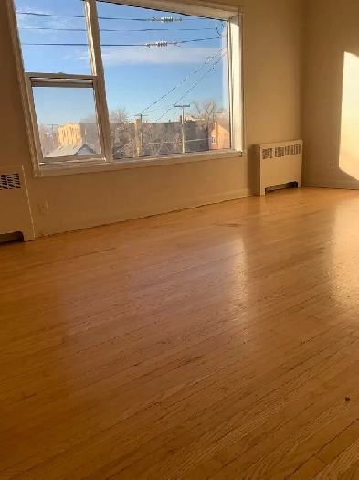 One bedroom apartment @ 220 Jamison Ave Image# 1