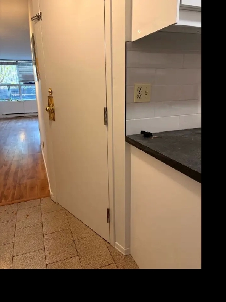 ENTREPRENEUR Image# 1