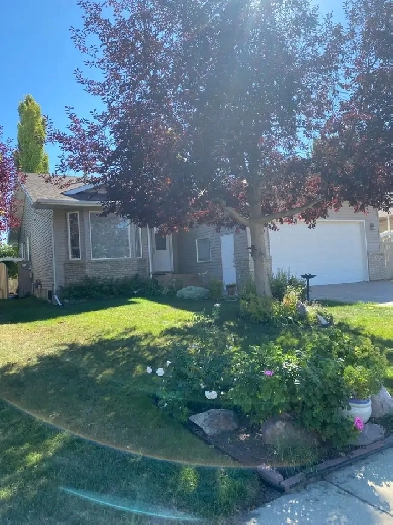 Fully Furnished Home for Rent Image# 7